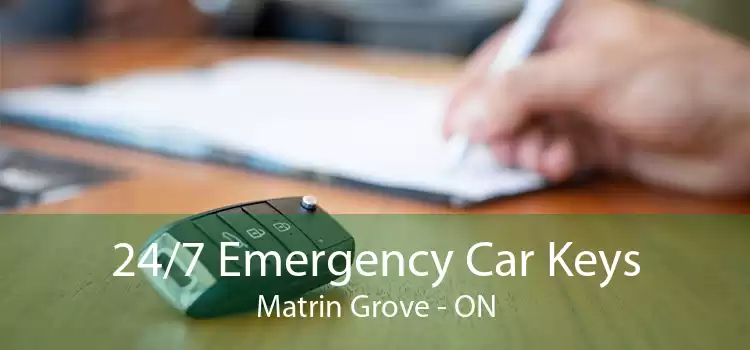24/7 Emergency Car Keys Matrin Grove - ON