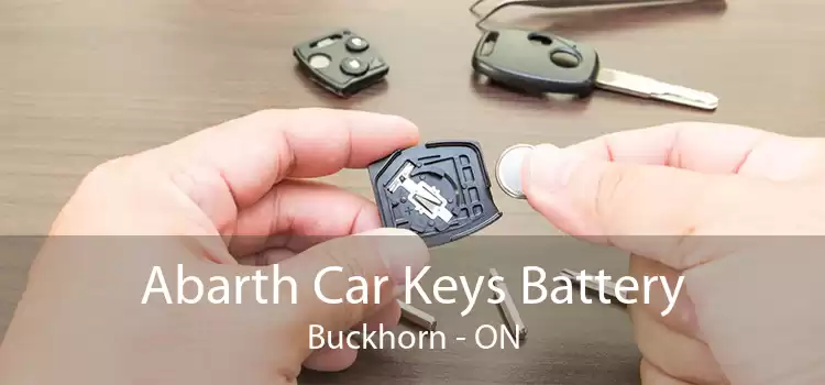 Abarth Car Keys Battery Buckhorn - ON