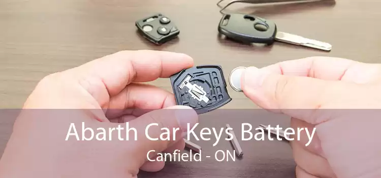 Abarth Car Keys Battery Canfield - ON
