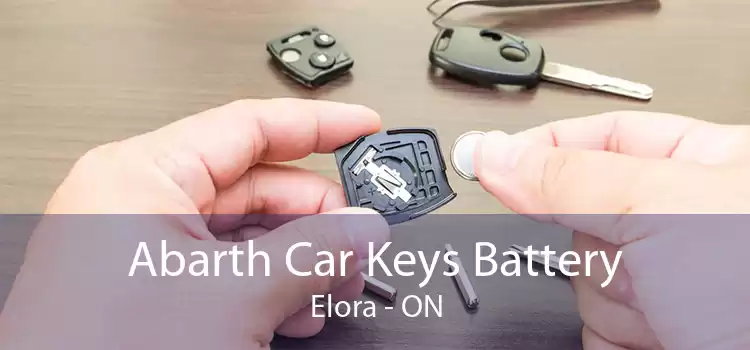 Abarth Car Keys Battery Elora - ON