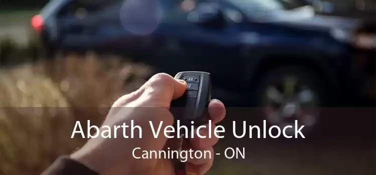 Abarth Vehicle Unlock Cannington - ON