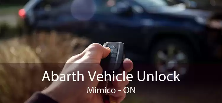 Abarth Vehicle Unlock Mimico - ON