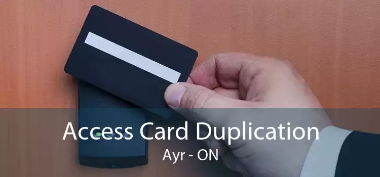Access Card Duplication Ayr - ON