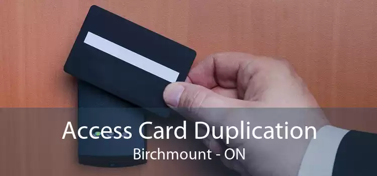 Access Card Duplication Birchmount - ON