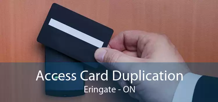 Access Card Duplication Eringate - ON