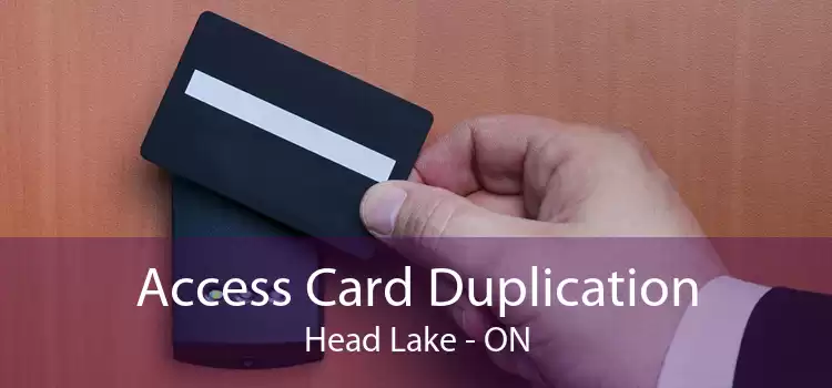 Access Card Duplication Head Lake - ON