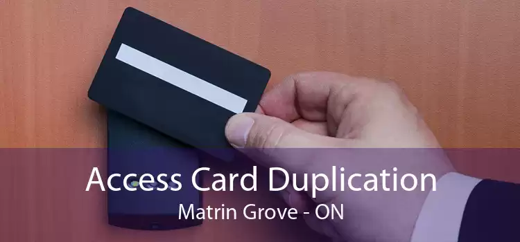 Access Card Duplication Matrin Grove - ON