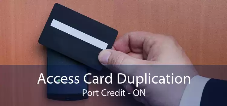 Access Card Duplication Port Credit - ON