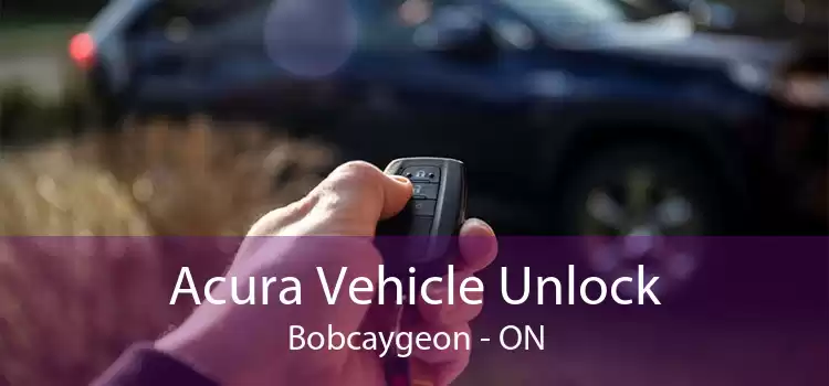 Acura Vehicle Unlock Bobcaygeon - ON