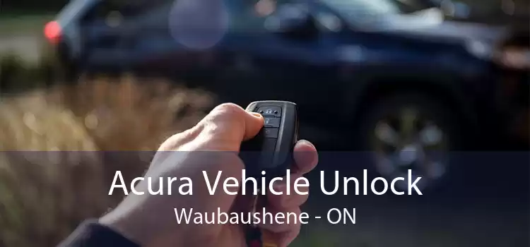 Acura Vehicle Unlock Waubaushene - ON