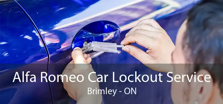 Alfa Romeo Car Lockout Service Brimley - ON