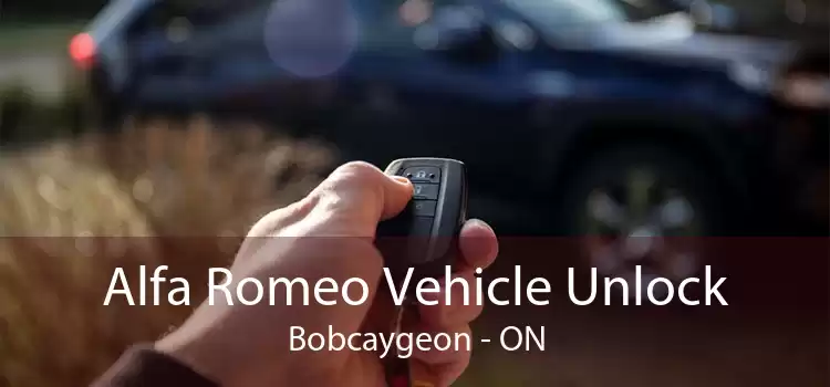 Alfa Romeo Vehicle Unlock Bobcaygeon - ON