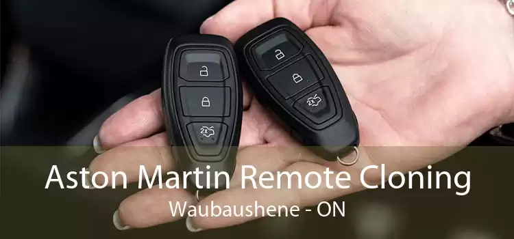 Aston Martin Remote Cloning Waubaushene - ON