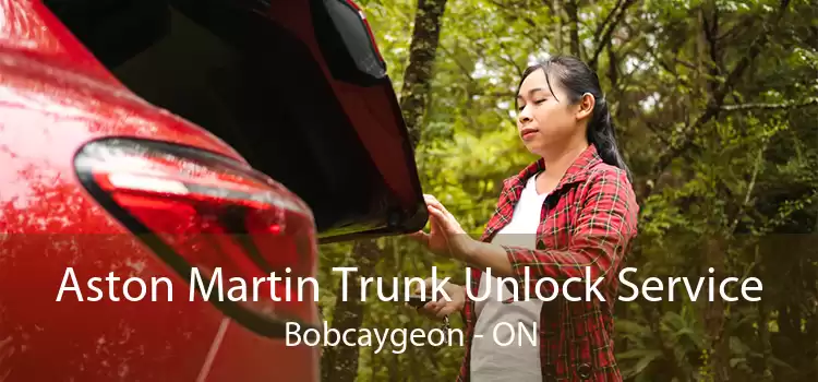 Aston Martin Trunk Unlock Service Bobcaygeon - ON