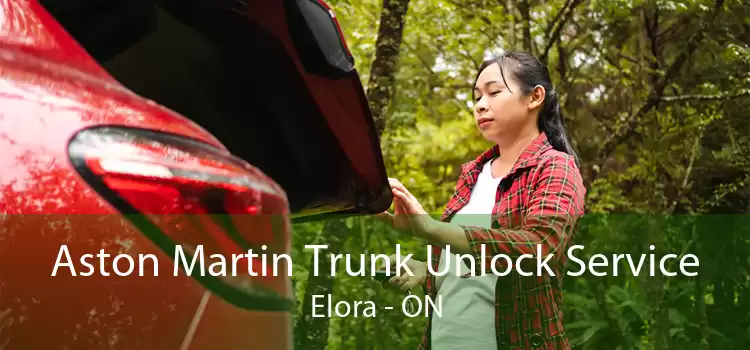 Aston Martin Trunk Unlock Service Elora - ON