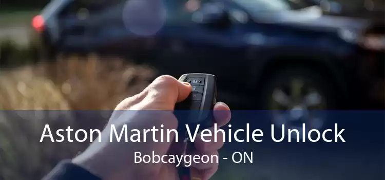 Aston Martin Vehicle Unlock Bobcaygeon - ON