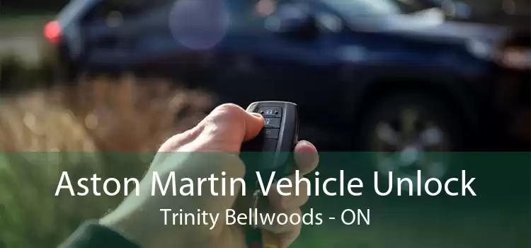 Aston Martin Vehicle Unlock Trinity - Bellwoods - ON