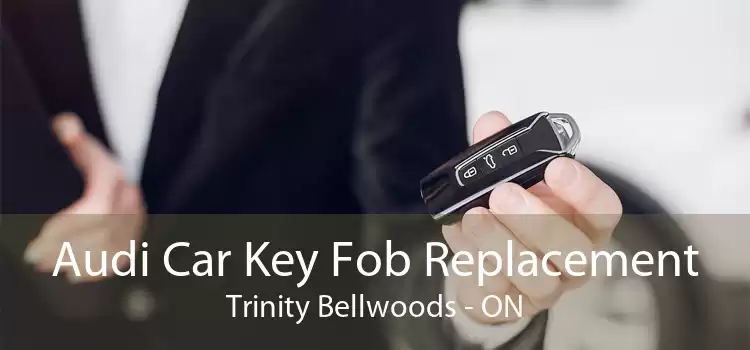 Audi Car Key Fob Replacement Trinity Bellwoods - ON