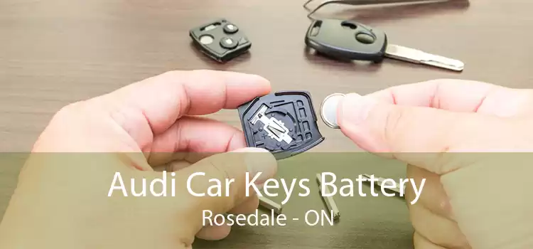 Audi Car Keys Battery Rosedale - ON