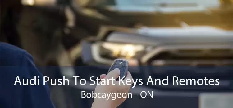 Audi Push To Start Keys And Remotes Bobcaygeon - ON