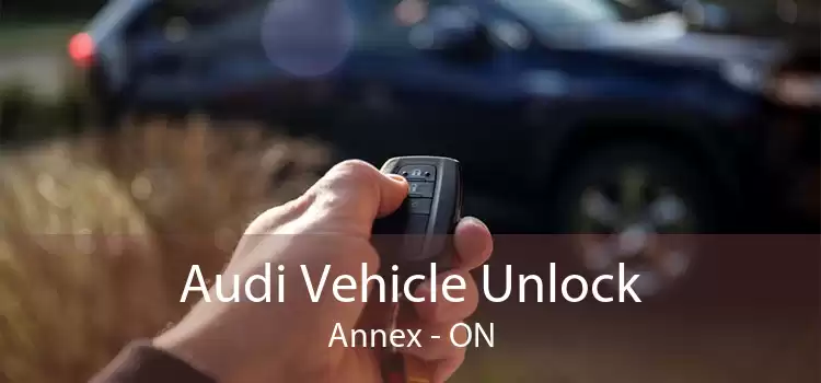Audi Vehicle Unlock Annex - ON