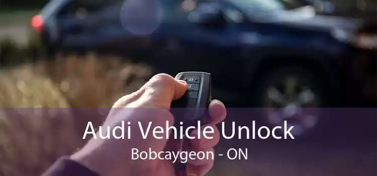 Audi Vehicle Unlock Bobcaygeon - ON