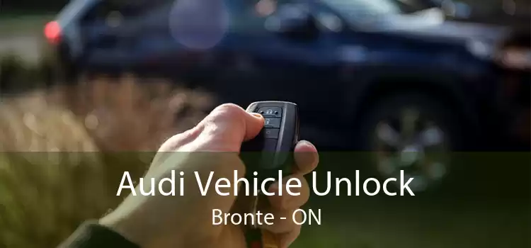 Audi Vehicle Unlock Bronte - ON