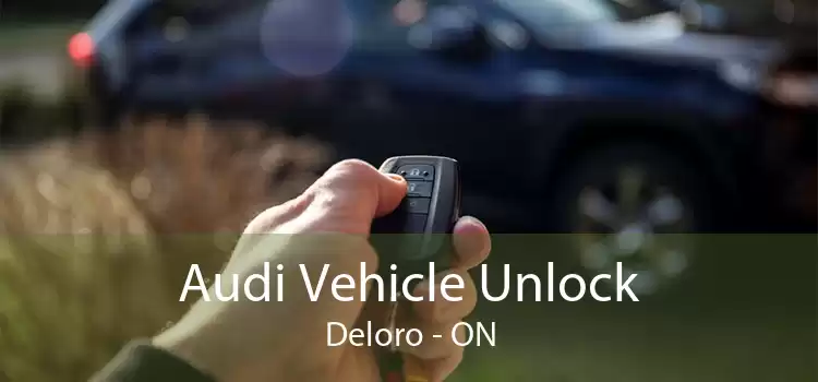 Audi Vehicle Unlock Deloro - ON