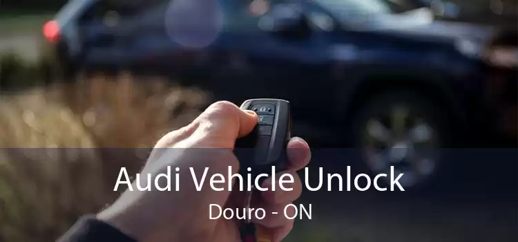 Audi Vehicle Unlock Douro - ON