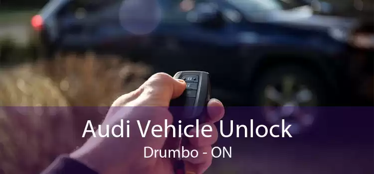 Audi Vehicle Unlock Drumbo - ON