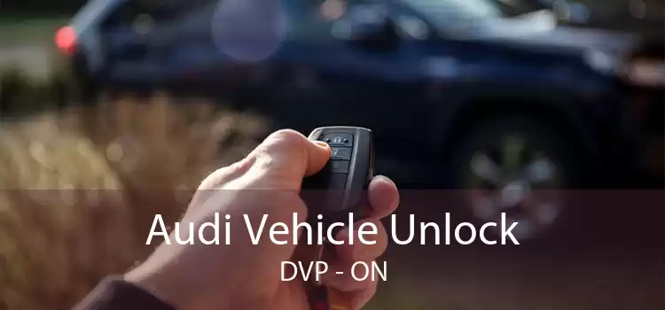 Audi Vehicle Unlock DVP - ON