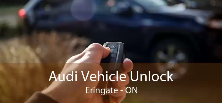 Audi Vehicle Unlock Eringate - ON