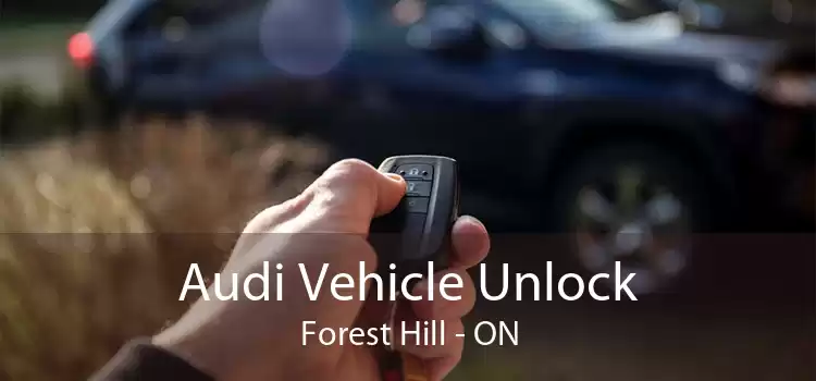 Audi Vehicle Unlock Forest Hill - ON