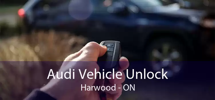 Audi Vehicle Unlock Harwood - ON