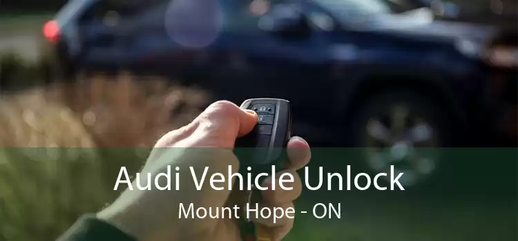 Audi Vehicle Unlock Mount Hope - ON