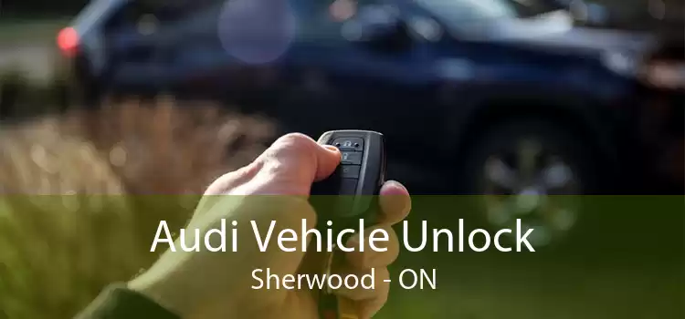 Audi Vehicle Unlock Sherwood - ON