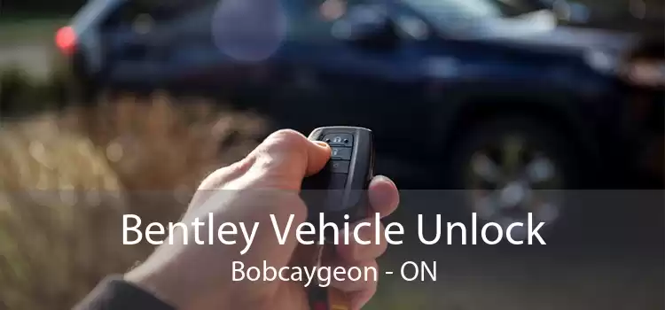 Bentley Vehicle Unlock Bobcaygeon - ON