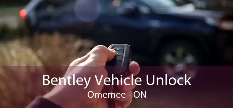 Bentley Vehicle Unlock Omemee - ON
