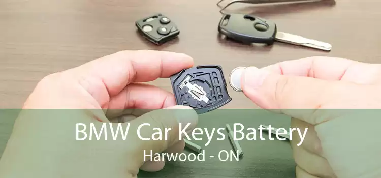 BMW Car Keys Battery Harwood - ON