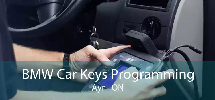 BMW Car Keys Programming Ayr - ON