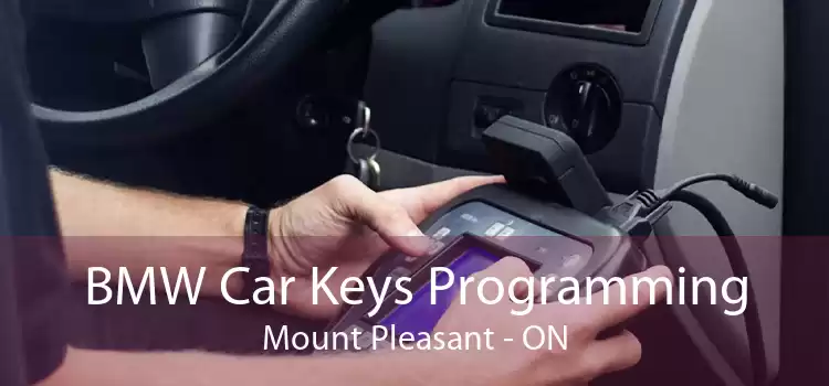BMW Car Keys Programming Mount Pleasant - ON