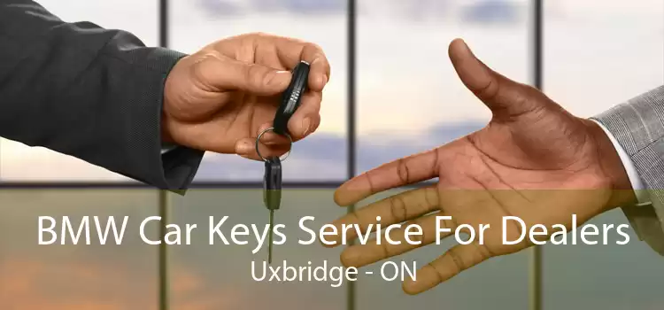BMW Car Keys Service For Dealers Uxbridge - ON