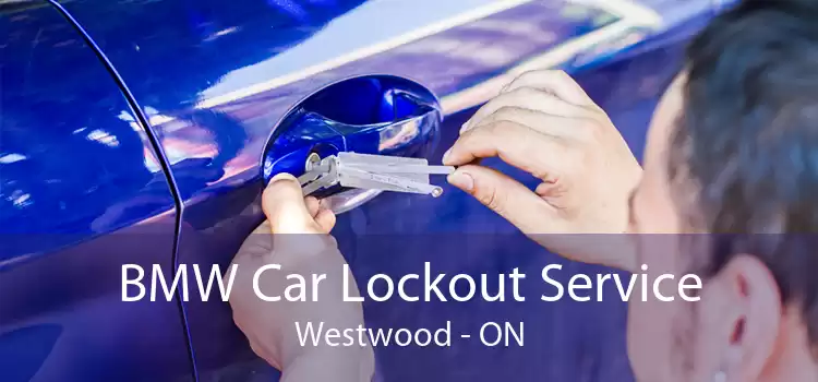 BMW Car Lockout Service Westwood - ON