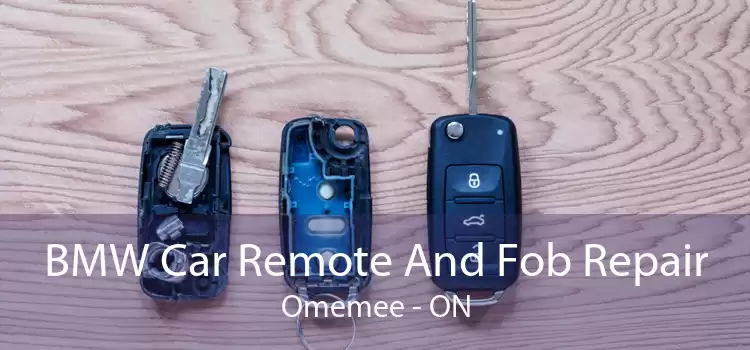 BMW Car Remote And Fob Repair Omemee - ON