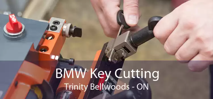 BMW Key Cutting Trinity - Bellwoods - ON