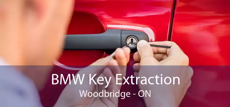 BMW Key Extraction Woodbridge - ON