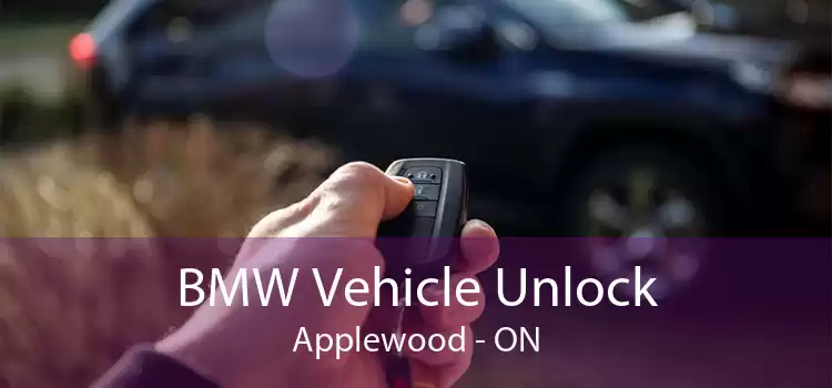 BMW Vehicle Unlock Applewood - ON