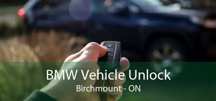 BMW Vehicle Unlock Birchmount - ON