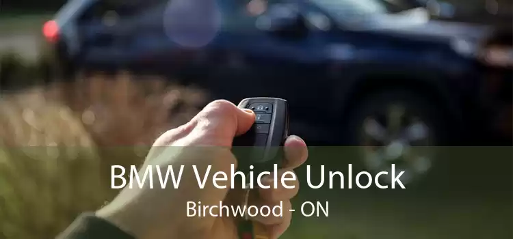 BMW Vehicle Unlock Birchwood - ON
