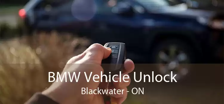BMW Vehicle Unlock Blackwater - ON
